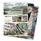 Angela Harding: Wildlife Set of 3 Standard Notebooks by Flame Tree Studio, 9781804178379