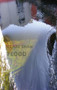 Flood by Clare Shaw, 9781780374208