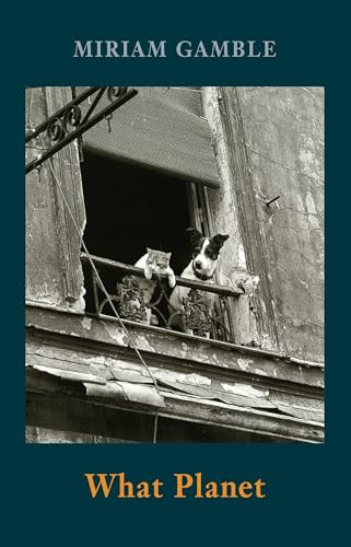 What Planet by Miriam Gamble, 9781780374840