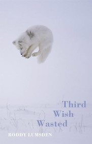 Third Wish Wasted by Roddy Lumsden, 9781852248284
