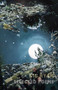 Selected Poems - 9781852249212 by Gig Ryan, 9781852249212