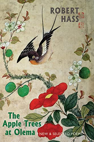 The Apple Trees at Olema (New & Selected Poems) by Robert Hass, 9781852248970