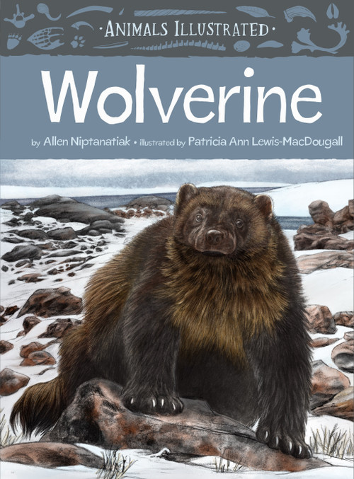 Animals Illustrated: Wolverine by Allen Niptanatiak, Patricia Ann Lewis-MacDougall, 9781772272987