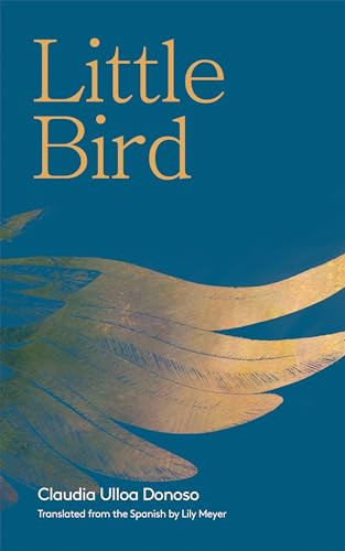 Little Bird - 9781646050659 by Claudia Ulloa Donoso, Lily Meyer, 9781646050659