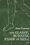 The Glassy, Burning Floor of Hell by Brian Evenson, 9781566896115