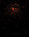 Dark Matter - 9780984475285 by Aase Berg, Johannes Göransson, 9780984475285