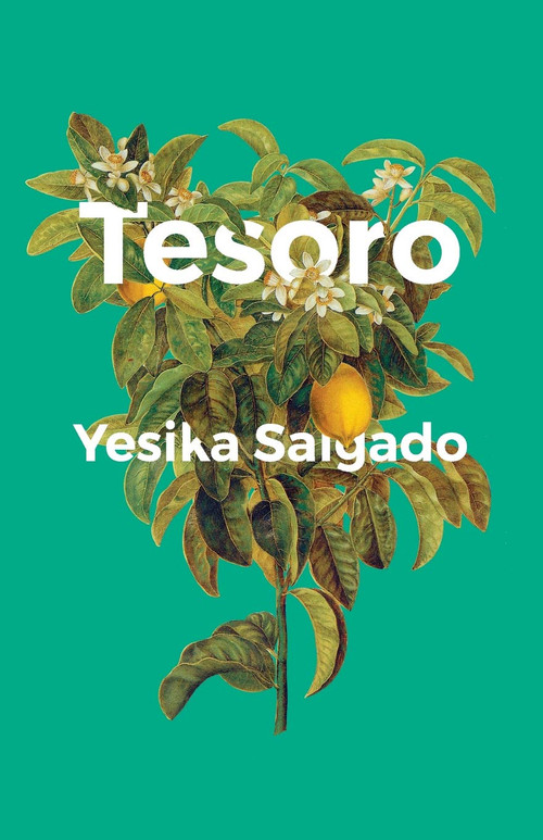 Tesoro by Yesika Salgado, 9781945649233