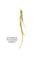 Enric Majoral (The Expanded Jewellery) by Enric Majoral, Maia Creus, 9781948765886