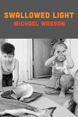 Swallowed Light by Michael Wasson, 9781556596001