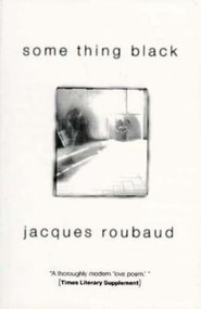 Some Thing Black by Jacques	Roubaud, Rosmarie Waldrop, Alix C Roubaud, 9781564782069