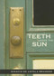 Teeth Under the Sun by Ignacio De Loyola Brandao, Cristina Ferreira-Pinto Bailey, 9781564784384