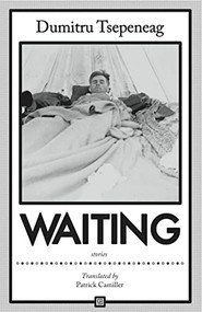 Waiting: stories (Stories) by Dumitru Tsepeneag, Patrick Camiller, 9781564789013