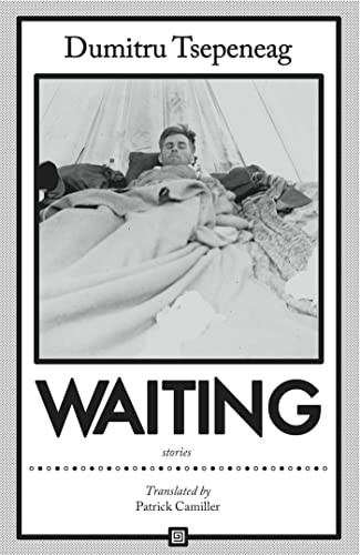 Waiting: stories (Stories) by Dumitru Tsepeneag, Patrick Camiller, 9781564789013