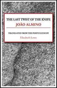 The Last Twist of the Knife by João Almino, Elizabeth Lowe, 9781943150625