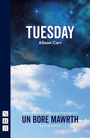 Tuesday (With a Welsh-language translation, Un Bore Mawrth) by Alison Carr, Daf James, 9781839040009