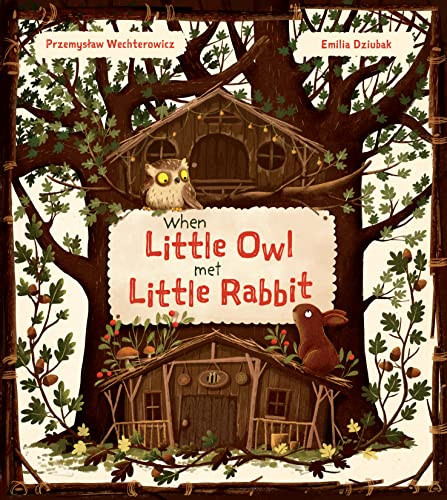 When Little Owl Met Little Rabbit by Przemyslaw Wechterowicz, Emilia Dziubak, 9781782507741