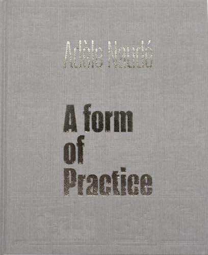 Adèle Naudé (A Form of Practice) by Adèle Naudé, 9781957183435
