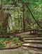 Changing the Commons (Stories about Placemaking) by John N. Roberts, 9781957183336
