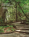 Changing the Commons (Stories about Placemaking) by John N. Roberts, 9781957183336