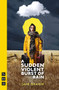A Sudden Violent Burst of Rain by Sami Ibrahim, 9781839041112