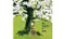 Mi nombre es Hoy (My Name Is Today) (Spanish Edition) by So Ho- Sang, Kim Dong-Sung, Ana Eulate, 9788493781477