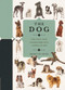 Paperscapes: The Dog (A Book That Transforms Into a Work of Art) by Annette Conn, 9780233005836