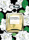 Chanel in 55 Objects (The Iconic Designer Through Her Finest Creations) by Emma Baxter-Wright, 9781802795202