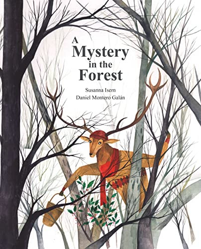 A Mystery in the Forest by Daniel Montero Galán, Susanna Isern, 9788416733927