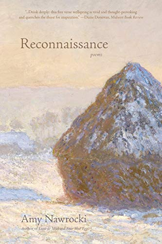 Reconnaissance by Amy Nawrocki, 9781938846694