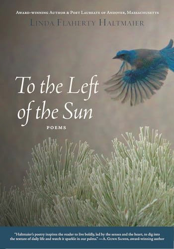 To the Left of the Sun by Linda Flaherty Haltmaier, 9781947003989