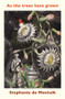 As the Trees Have Grown by Stephanie de Montalk, 9781776920778