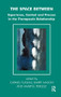 The Space Between (Experience, Context, and Process in the Therapeutic Relationship) by Carmel Flaskas, Barry Mason, Amaryll Perlesz, 9781855753655