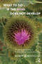 What To Do If the Mind Does Not Develop (A Psychoanalytic Study of Pervasive Developmental Disorders) by Roberto Bertolini, 9781782204039