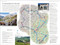 DK Road Trips Italy by DK Travel, 9780241538661