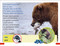 DK Super Readers Pre-level Bilingual A Bear's Tale â€“ Relato de un oso - 9780744094909 by DK