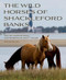 Wild Horses of Shackleford Banks - 9781958888254 by Carmine Prioli, Scott Taylor, 9781958888254