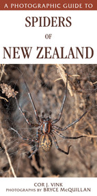 A Photographic Guide To Spiders Of New Zealand by Bryce McQuillan, Cor Vink, 9781776940417