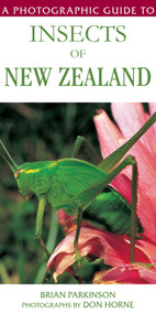 A Photographic Guide To Insects Of New Zealand by Brian Parkinson, Don Horne, 9781776940479