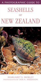 A Photographic Guide To Seashells Of New Zealand by Ian Anderson, Margaret Morley, 9781776940530