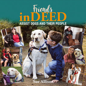 Friends Indeed by Sue Allison, 9781869665142