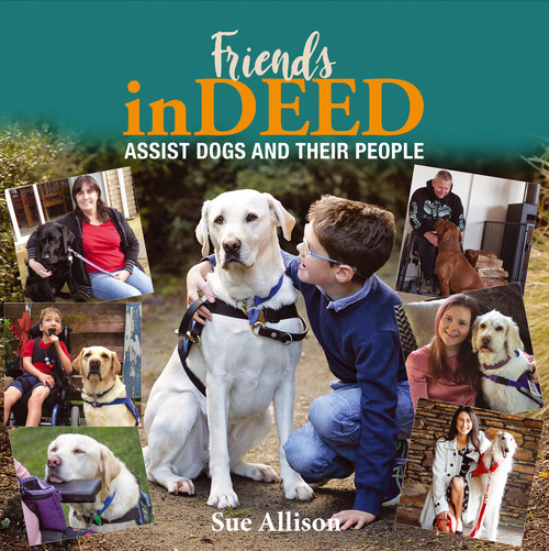 Friends Indeed by Sue Allison, 9781869665142