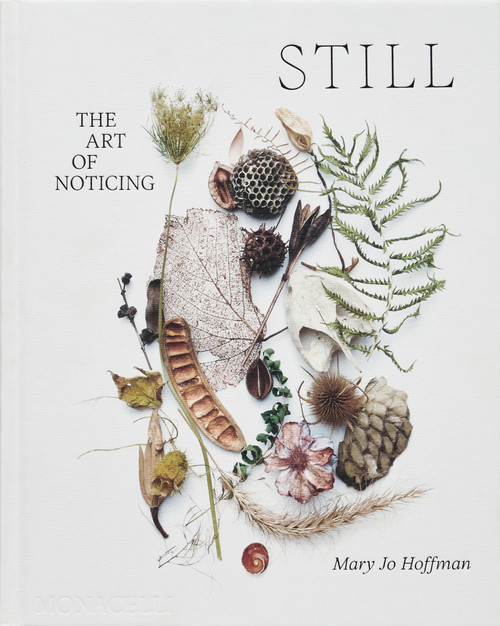 STILL (The Art of Noticing) by Mary Jo Hoffman, 9781580936330