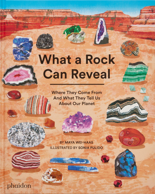 What a Rock Can Reveal (Where They Come From And What They Tell Us About Our Planet) by Maya Wei-Haas, Sonia Pulido, 9781838667900
