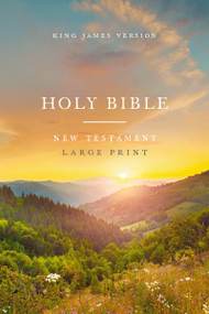 KJV Large Print Outreach New Testament Bible, Scenic Softcover, Comfort Print by Thomas Nelson, 9781400343621