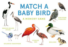 Match a Baby Bird (An Avian Memory Game) by Mike Unwin, Christine Berrie, 9781399608558