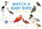 Match a Baby Bird (An Avian Memory Game) by Mike Unwin, Christine Berrie, 9781399608558