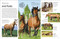 Eyewitness Horse by DK, 9780593842416