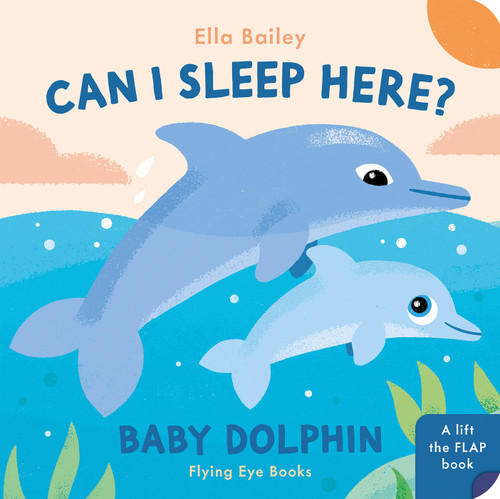 Can I Sleep Here Baby Dolphin by Ella Bailey, 9781838748937