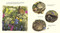 Tiny Jenny (Little Fairy, Big Trouble) - 9780593650479 by Briony May Smith