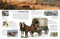 Eyewitness Horse - 9780593842409 by DK